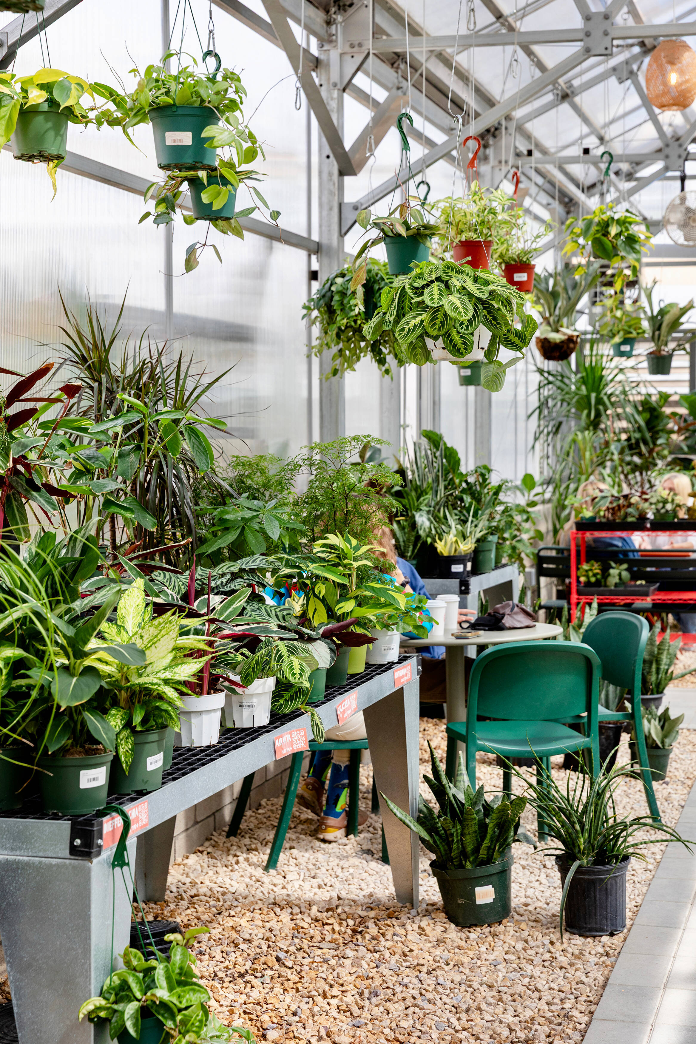 Careers | Creature's Plants & Coffee